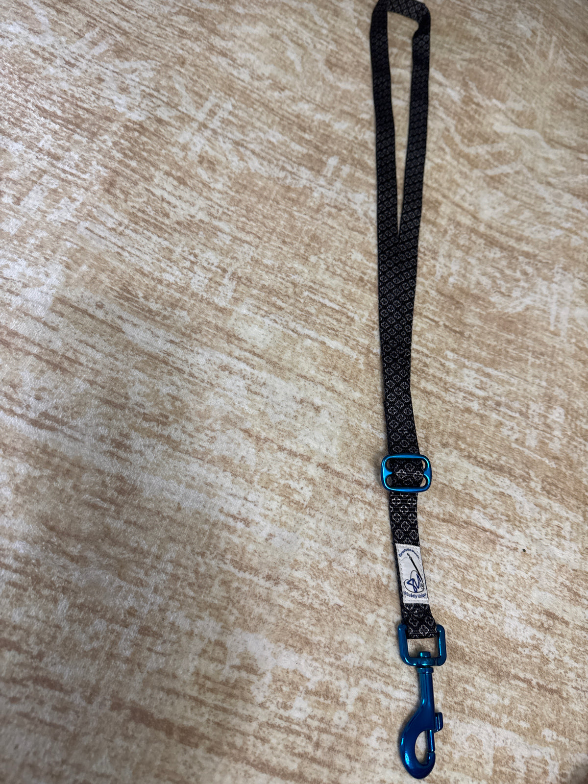 exclusive Pope leo blu mtl