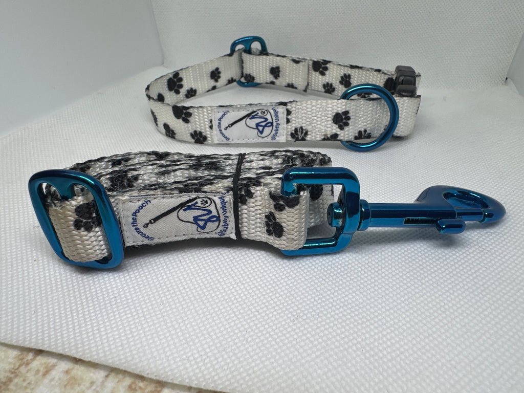 Exclusive Signature PawZ Secure the Pooch Set Blu MTL sm-med collar