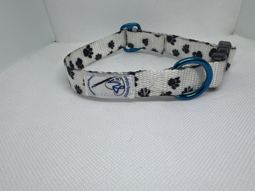 Exclusive Signature PawZ Secure the Pooch Set Blu MTL sm-med collar