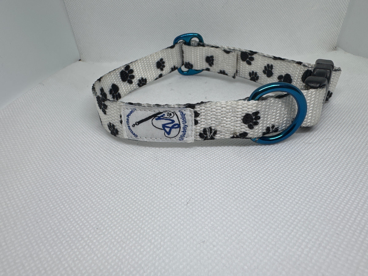 Exclusive Signature PawZ Secure the Pooch Set Blu MTL sm-med collar